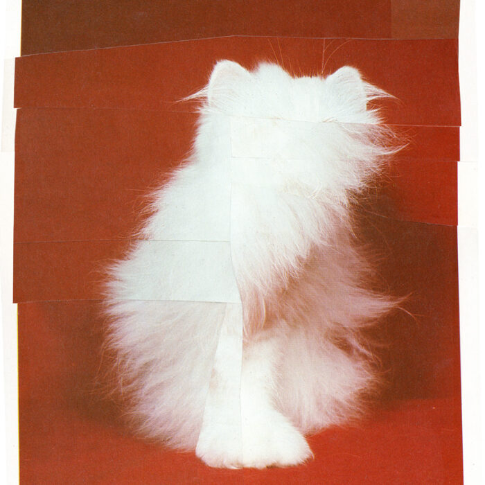 gr_Katze_125x155_web_21