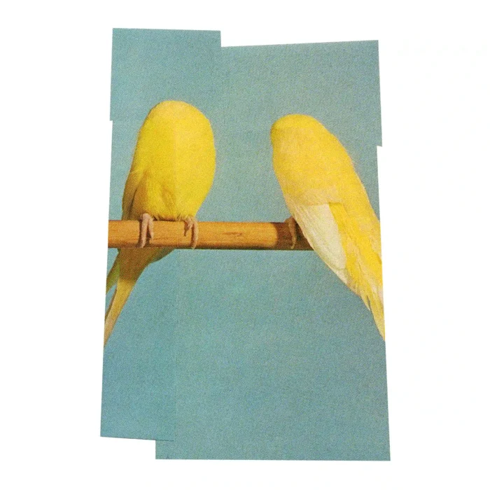 2_yellows_20x25_final_2