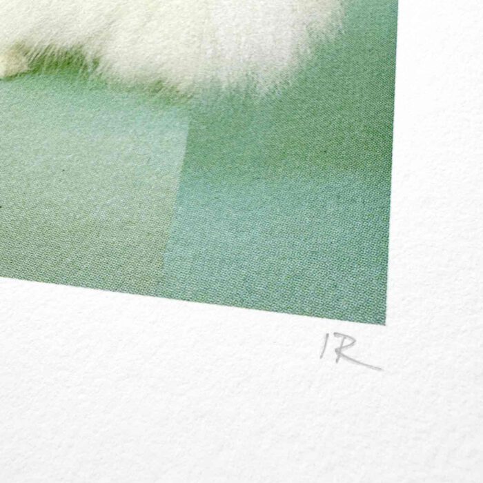 White-D_20x20_neu_3